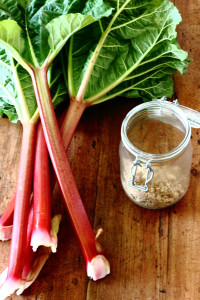 rhubarb-with-brown-sugar