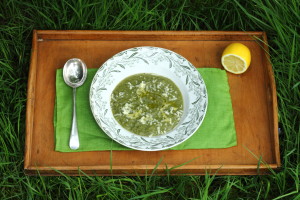 NOW IS THE TIME TO EAT NETTLES! SOUP, CURRY & SAUCE