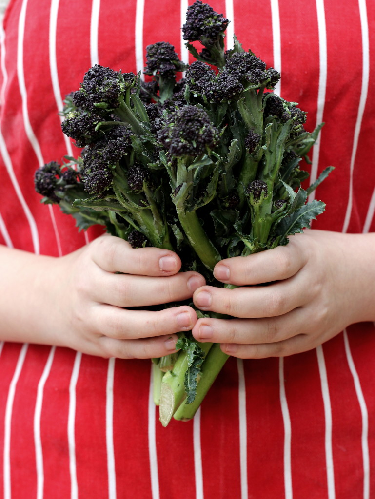 broccoli against apron